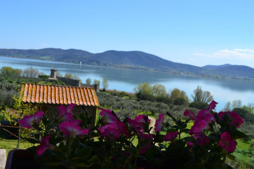 Вилла Fattoria Il Poggio Сан-Феличано Экстерьер фото